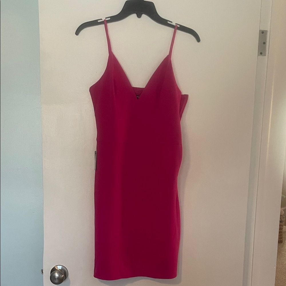 Express Fuchsia Pink Spaghetti Strap Sheath Dress
